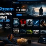 VidStream