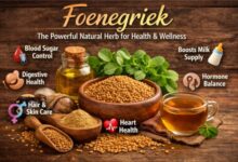 Foenegriek